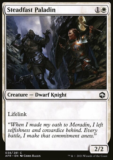Steadfast Paladin, Adventures in the Forgotten Realms #38, Magic: The Gathering card