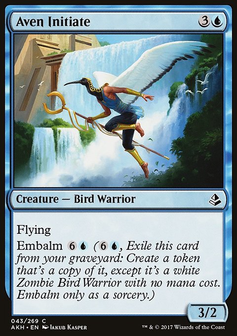 Aven Initiate, Amonkhet #43, Magic: The Gathering card