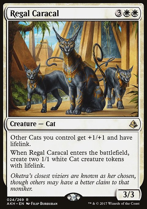 Regal Caracal, Amonkhet #24, Magic: The Gathering card