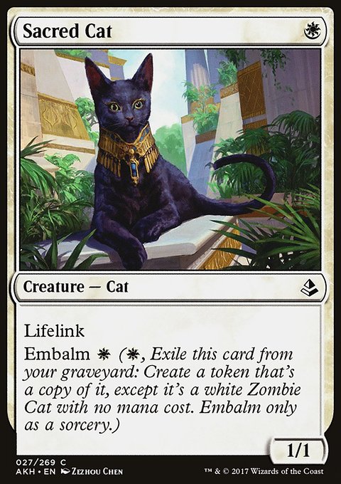 Sacred Cat, Amonkhet #27, Magic: The Gathering card