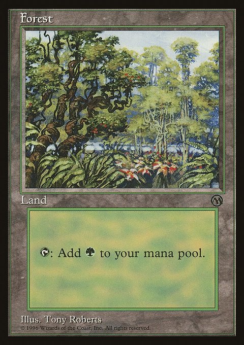 Forest, Arena League 1996 #5, Magic: The Gathering card