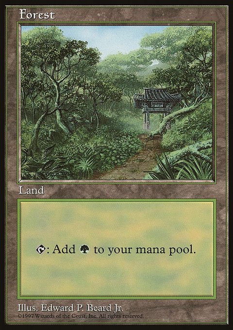 Forest, Asia Pacific Land Program #11, Magic: The Gathering card