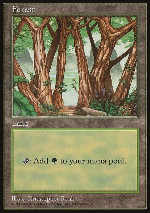 Forest, Asia Pacific Land Program #6, Magic: The Gathering card
