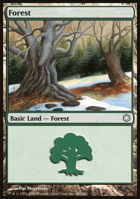 Forest, Coldsnap Theme Decks #381, Magic: The Gathering card