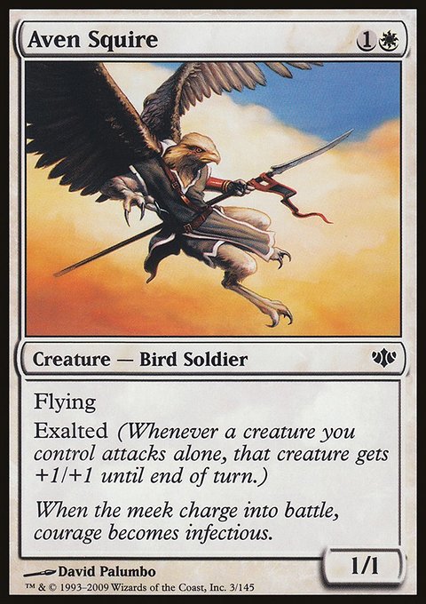Aven Squire, Conflux #3, Magic: The Gathering card