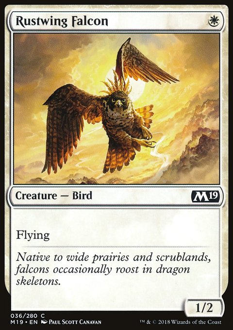 Rustwing Falcon, Core Set 2019 #36, Magic: The Gathering card