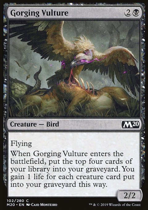 Gorging Vulture, Core Set 2020 #102, Magic: The Gathering card