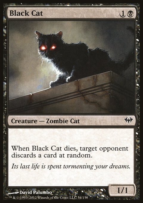 Black Cat, Dark Ascension #54, Magic: The Gathering card