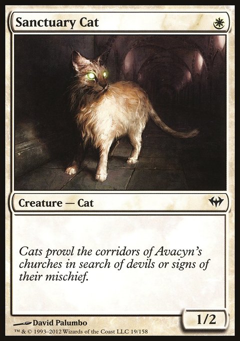 Sanctuary Cat, Dark Ascension #19, Magic: The Gathering card