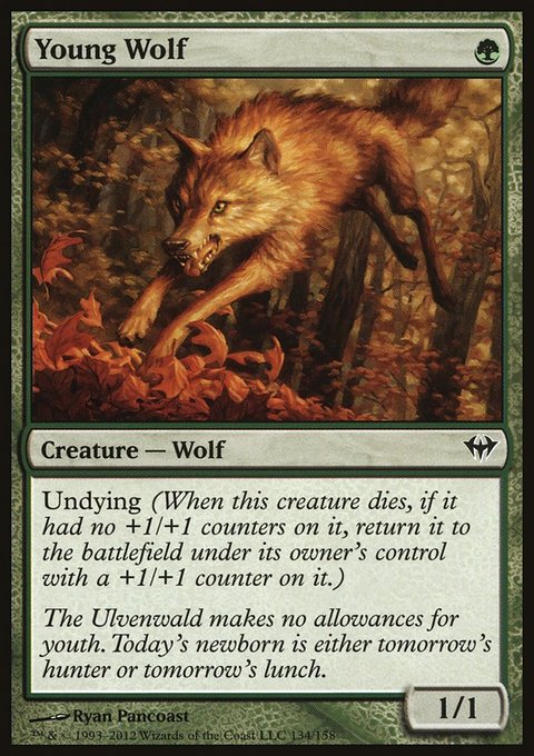 Young Wolf, Dark Ascension #134, Magic: The Gathering card