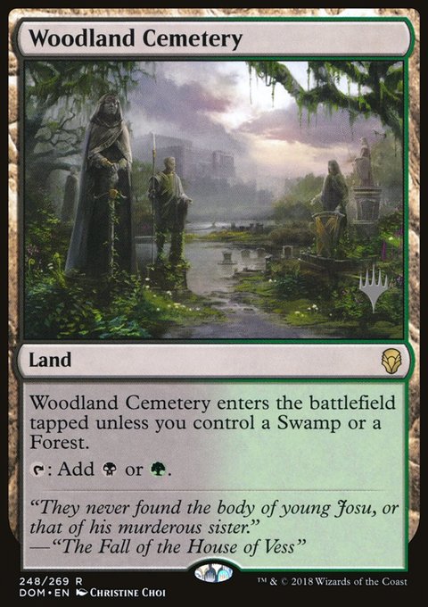 Woodland Cemetery, Dominaria Promos #248p, Magic: The Gathering card