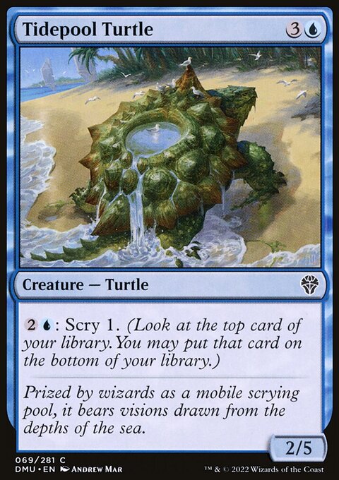 Tidepool Turtle, Dominaria United #69, Magic: The Gathering card