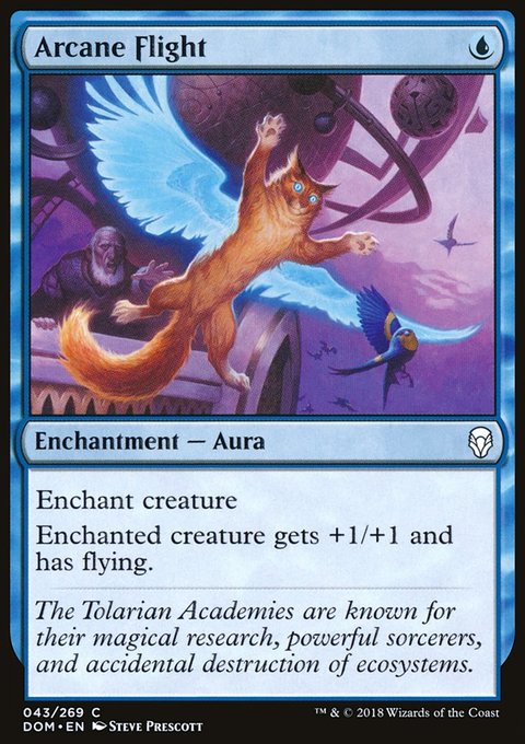 Arcane Flight, Dominaria #43, Magic: The Gathering card