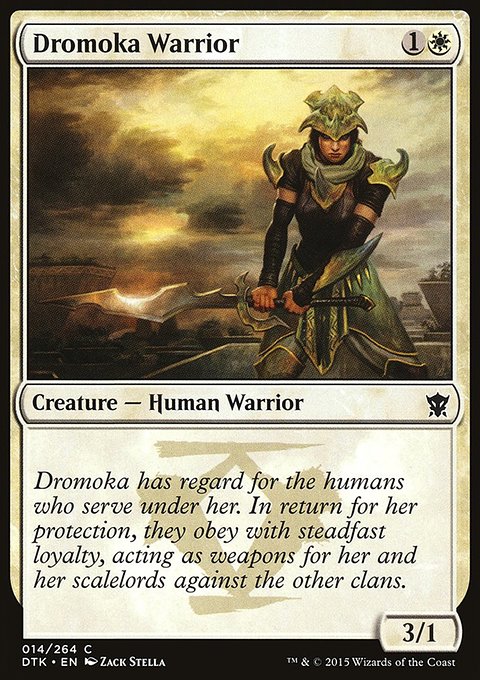 Dromoka Warrior, Dragons of Tarkir #14, Magic: The Gathering card