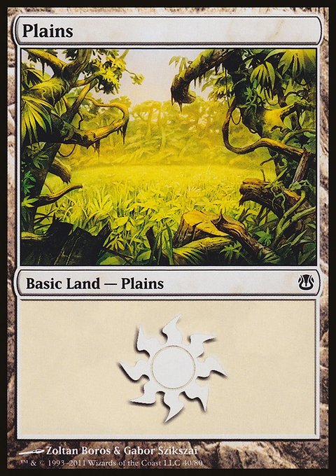 Plains, Duel Decks: Ajani vs. Nicol Bolas #40, Magic: The Gathering card