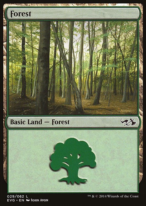Forest, Duel Decks Anthology: Elves vs. Goblins #29, Magic: The Gathering card