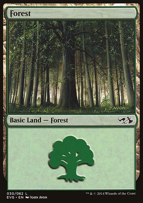 Forest, Duel Decks Anthology: Elves vs. Goblins #30, Magic: The Gathering card