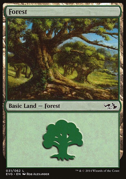 Forest, Duel Decks Anthology: Elves vs. Goblins #31, Magic: The Gathering card