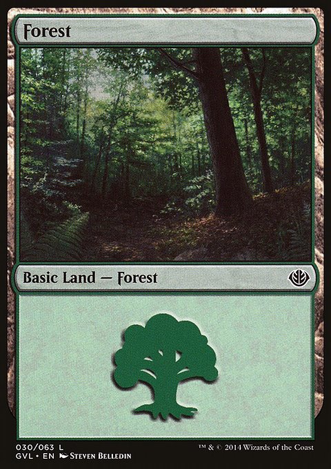Forest, Duel Decks Anthology: Garruk vs. Liliana #30, Magic: The Gathering card