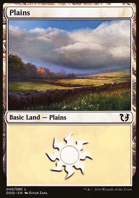 Plains, Duel Decks: Blessed vs. Cursed #40, Magic: The Gathering card