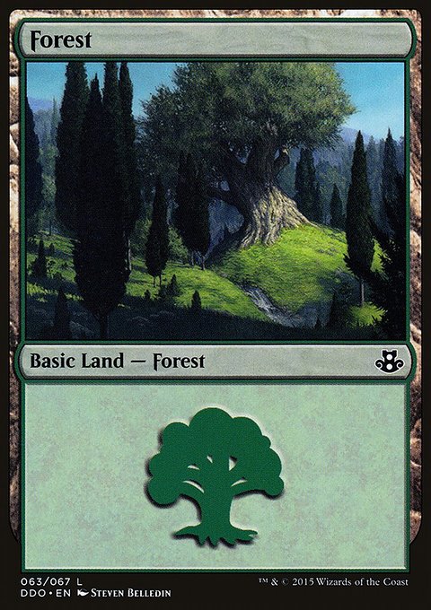 Forest, Duel Decks: Elspeth vs. Kiora #63, Magic: The Gathering card