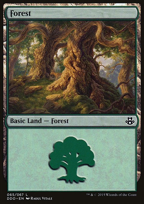 Forest, Duel Decks: Elspeth vs. Kiora #65, Magic: The Gathering card