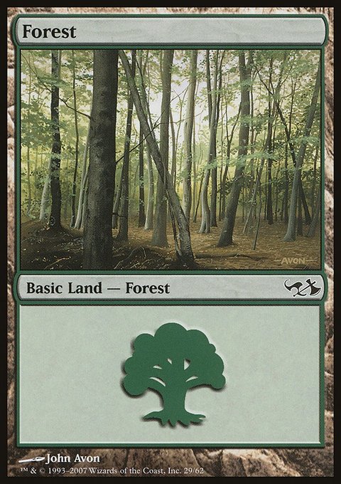 Forest, Duel Decks: Elves vs. Goblins #29, Magic: The Gathering card