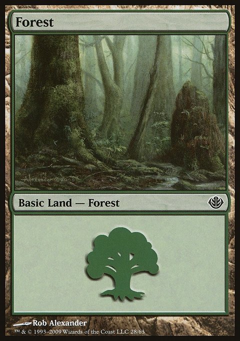 Forest, Duel Decks: Garruk vs. Liliana #28, Magic: The Gathering card