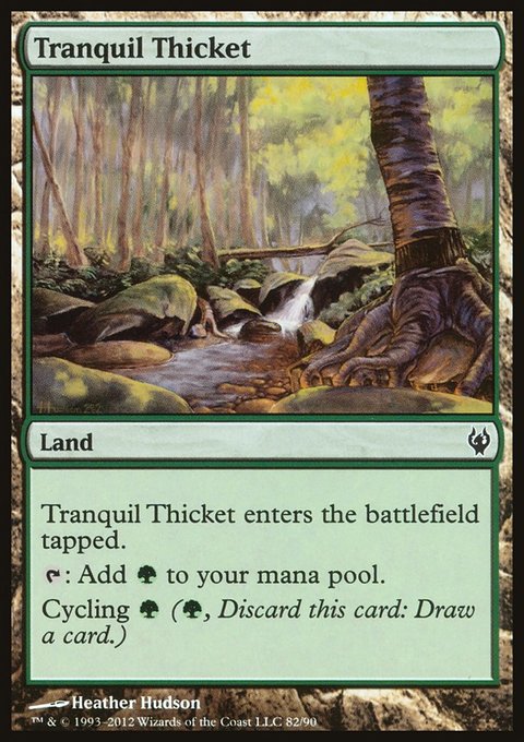 Tranquil Thicket, Duel Decks: Izzet vs. Golgari #82, Magic: The Gathering card