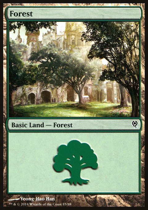 Forest, Duel Decks: Jace vs. Vraska #85, Magic: The Gathering card