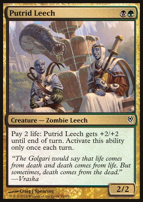 Putrid Leech, Duel Decks: Jace vs. Vraska #51, Magic: The Gathering card