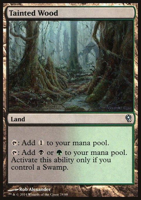 Tainted Wood, Duel Decks: Jace vs. Vraska #78, Magic: The Gathering card