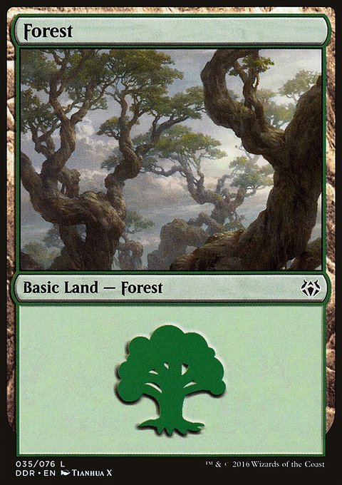 Forest, Duel Decks: Nissa vs. Ob Nixilis #35, Magic: The Gathering card