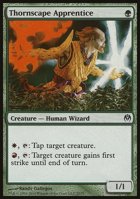 Thornscape Apprentice, Duel Decks: Phyrexia vs. the Coalition #37, Magic: The Gathering card