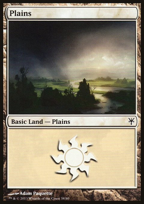 Plains, Duel Decks: Sorin vs. Tibalt #38, Magic: The Gathering card