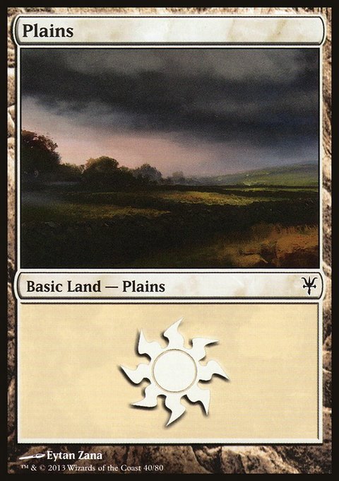 Plains, Duel Decks: Sorin vs. Tibalt #40, Magic: The Gathering card
