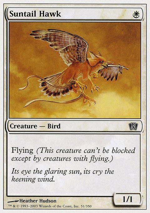 Suntail Hawk, Eighth Edition #51, Magic: The Gathering card