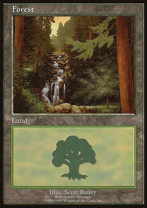 Forest, European Land Program #1, Magic: The Gathering card