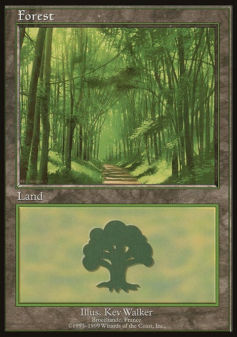 Forest, European Land Program #6, Magic: The Gathering card