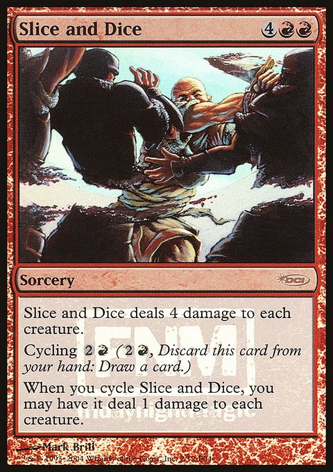 Slice and Dice, Friday Night Magic 2004 #2, Magic: The Gathering card
