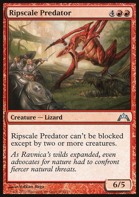 Ripscale Predator, Gatecrash #103, Magic: The Gathering card