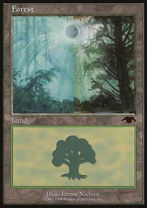 Forest, Guru #5, Magic: The Gathering card