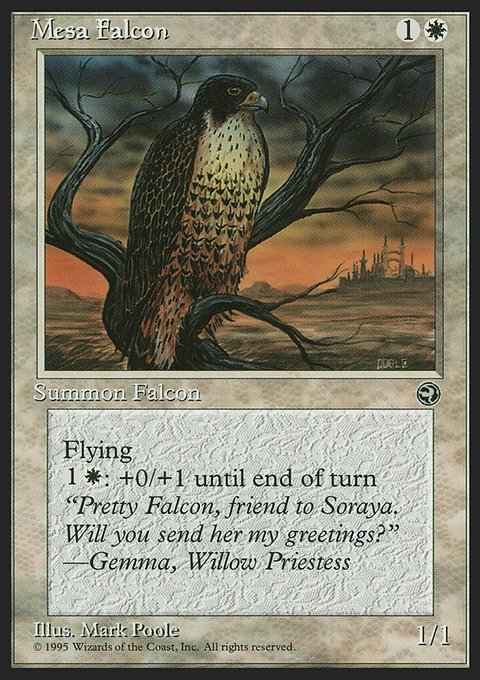 Mesa Falcon, Homelands #10b, Magic: The Gathering card