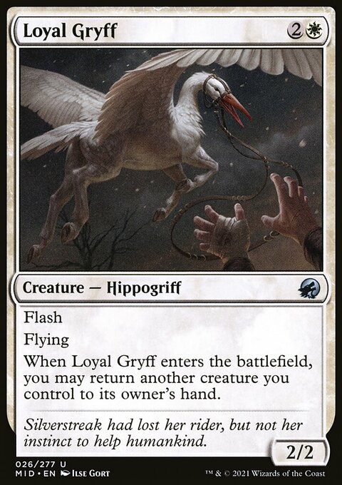 Loyal Gryff, Innistrad: Midnight Hunt #26, Magic: The Gathering card