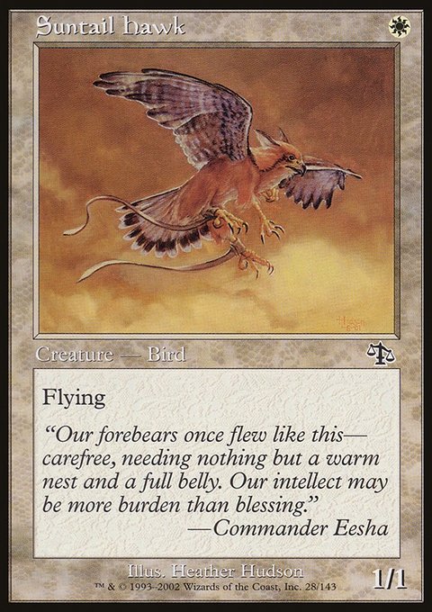 Suntail Hawk, Judgment #28, Magic: The Gathering card