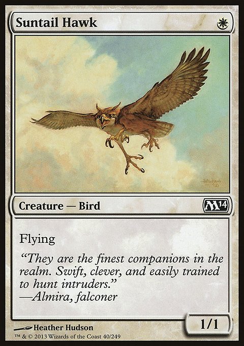 Suntail Hawk, Magic 2014 #40, Magic: The Gathering card