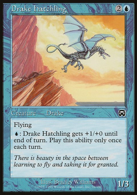 Drake Hatchling, Mercadian Masques #76, Magic: The Gathering card