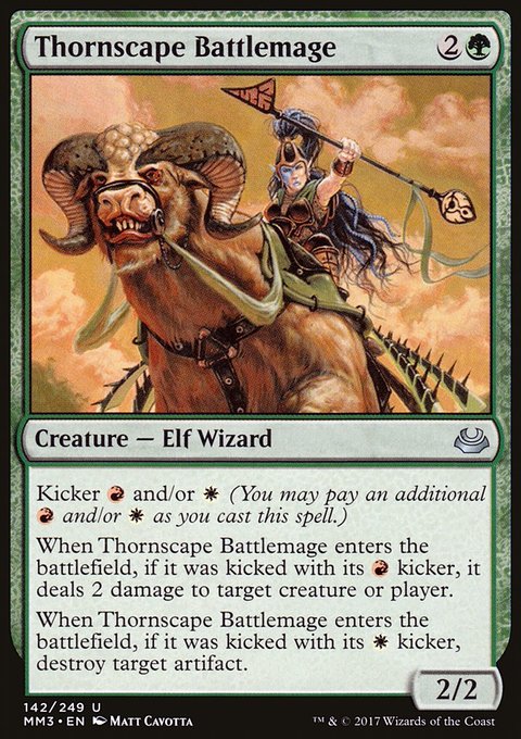 Thornscape Battlemage, Modern Masters 2017 #142, Magic: The Gathering card