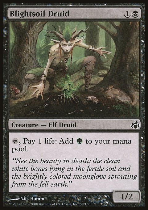 Blightsoil Druid, Morningtide #59, Magic: The Gathering card