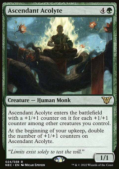 Ascendant Acolyte, Neon Dynasty Commander #24, Magic: The Gathering card